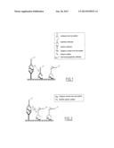 METHOD FOR SIMULTANEOUSLY DETECTING AN ANTIGEN OF, AND AN ANTIBODY,     AGAINST, AN INFECTIOUS MICROORGANISM diagram and image