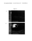 PHOTOCHEMICAL TISSUE BONDING diagram and image