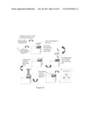 PHOTOCHEMICAL TISSUE BONDING diagram and image