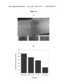 PHOTOCHEMICAL TISSUE BONDING diagram and image