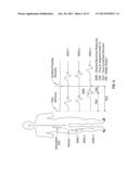 System and Methods For Performing Surgical Procedures and Assessments diagram and image