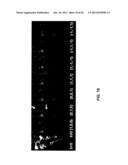 Systems and Methods for Magnetic Resonance Imaging diagram and image