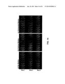 Systems and Methods for Magnetic Resonance Imaging diagram and image