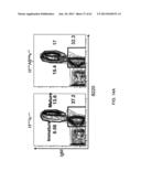 Humanized Light Chain Mice diagram and image