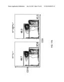 Humanized Light Chain Mice diagram and image