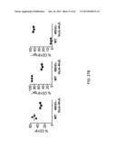 Humanized Light Chain Mice diagram and image