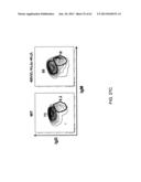 Humanized Light Chain Mice diagram and image