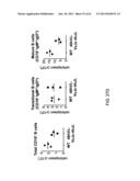 Humanized Light Chain Mice diagram and image