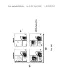 Humanized Light Chain Mice diagram and image