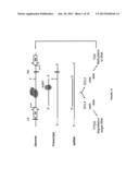 METHOD FOR SUSTAINABLE TRANSGENE TRANSCRIPTION diagram and image