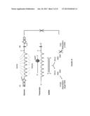 METHOD FOR SUSTAINABLE TRANSGENE TRANSCRIPTION diagram and image