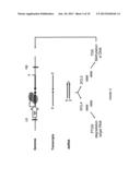 METHOD FOR SUSTAINABLE TRANSGENE TRANSCRIPTION diagram and image