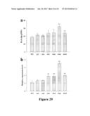 CROP GRAIN FILLING GENE (GIF1) AND THE APPLICATIONS THEREOF diagram and image