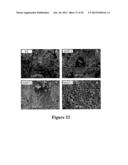 CROP GRAIN FILLING GENE (GIF1) AND THE APPLICATIONS THEREOF diagram and image