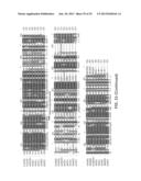 CROP GRAIN FILLING GENE (GIF1) AND THE APPLICATIONS THEREOF diagram and image