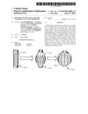 DOWNHOLE SEALING USING SETTABLE MATERIAL IN AN ELASTIC MEMBRANE diagram and image