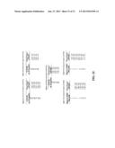 ELECTRO-CHEMICAL SENSORS, SENSOR ARRAYS AND CIRCUITS diagram and image