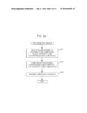 INFORMATION PROCESSING DEVICE, INFORMATION PROCESSING METHOD, PROGRAM,     RECORDING MEDIUM, AND INFORMATION PROCESSING SYSTEM diagram and image