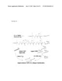 COLLAGEN MIMETIC PEPTIDES FOR TARGETING COLLAGEN STRANDS FOR IN VITRO AND     IN VIVO IMAGING AND THERAPEUTIC USE diagram and image