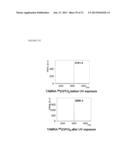 COLLAGEN MIMETIC PEPTIDES FOR TARGETING COLLAGEN STRANDS FOR IN VITRO AND     IN VIVO IMAGING AND THERAPEUTIC USE diagram and image