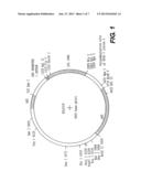 Recombinant Viruses and their Use for Treatment of Atherosclerosis and     Othe Forms of Coronary Artery Disease and Method, Reagent, and Kit for     Evaluating Susceptibiity to Same diagram and image