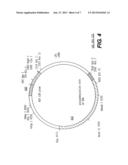 Recombinant Viruses and their Use for Treatment of Atherosclerosis and     Othe Forms of Coronary Artery Disease and Method, Reagent, and Kit for     Evaluating Susceptibiity to Same diagram and image