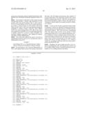 REGULATION OF GLYPICAN 4 ACTIVITY TO MODULATE THE FATE OF STEM CELLS AND     USES THEREOF diagram and image