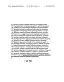 POLYNUCLEOTIDES AND CONSTRUCTS ENCODING SFLT1-14 AND METHOD FOR EFFICIENT     PROPAGATION AND EXPRESSION THEREOF diagram and image