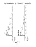 POLYNUCLEOTIDES AND CONSTRUCTS ENCODING SFLT1-14 AND METHOD FOR EFFICIENT     PROPAGATION AND EXPRESSION THEREOF diagram and image