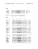 TAILORED RECOMBINASE FOR RECOMBINING ASYMMETRIC TARGET SITES IN A     PLURALITY OF RETROVIRUS STRAINS diagram and image