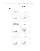 LLT-1 ANTIBODIES WITH NEW FUNCTIONAL PROPERTIES diagram and image