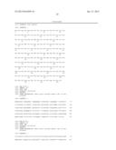 LLT-1 ANTIBODIES WITH NEW FUNCTIONAL PROPERTIES diagram and image