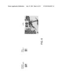 USE OF CAMELID-DERIVED VARIABLE HEAVY CHAIN VARIABLE REGIONS (VHH)     TARGETING HUMAN CD18 AND ICAM-1 AS A MICROBICIDE TO PREVENT HIV-1     TRANSMISSION diagram and image