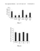 USE OF CAMELID-DERIVED VARIABLE HEAVY CHAIN VARIABLE REGIONS (VHH)     TARGETING HUMAN CD18 AND ICAM-1 AS A MICROBICIDE TO PREVENT HIV-1     TRANSMISSION diagram and image