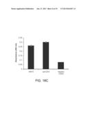 USE OF CAMELID-DERIVED VARIABLE HEAVY CHAIN VARIABLE REGIONS (VHH)     TARGETING HUMAN CD18 AND ICAM-1 AS A MICROBICIDE TO PREVENT HIV-1     TRANSMISSION diagram and image