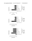 TREATMENT OF CYSTIC FIBROSIS USING CALCIUM LACTATE, LEUCINE AND SODIUM     CHLORIDE IN A RESPIRAPLE DRY POWDER diagram and image