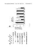 TREATMENT OF NEURODEGENERATIVE DISEASE WITH CREB-BINDING PROTEIN diagram and image