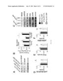TREATMENT OF NEURODEGENERATIVE DISEASE WITH CREB-BINDING PROTEIN diagram and image