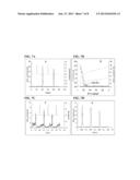 LUMINESCENT NANOSTRUCTURED MATERIALS FOR USE IN ELECTROGENERATED     CHEMILUMINESCENCE diagram and image