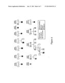 Methods for Assessing Risk for Cardiac Dysrythmia in a Human Subject diagram and image