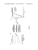 Methods for Assessing Risk for Cardiac Dysrythmia in a Human Subject diagram and image