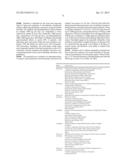 CARCINOMA DIAGNOSIS AND TREATMENT, BASED ON ODC1 GENOTYPE diagram and image