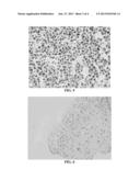 METHODS AND COMPOSITIONS FOR PREPARING SAMPLES FOR IMMUNOSTAINING diagram and image