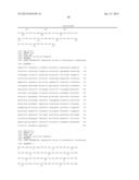 BIOCATALYSTS AND METHODS FOR THE SYNTHESIS OF     (1R,2R)-2-(3,4-DIMETHOXYPHENETHOXY)CYCLOHEXAMINE diagram and image