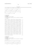 BIOCATALYSTS AND METHODS FOR THE SYNTHESIS OF     (1R,2R)-2-(3,4-DIMETHOXYPHENETHOXY)CYCLOHEXAMINE diagram and image