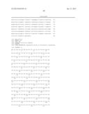 BIOCATALYSTS AND METHODS FOR THE SYNTHESIS OF     (1R,2R)-2-(3,4-DIMETHOXYPHENETHOXY)CYCLOHEXAMINE diagram and image