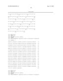 BIOCATALYSTS AND METHODS FOR THE SYNTHESIS OF     (1R,2R)-2-(3,4-DIMETHOXYPHENETHOXY)CYCLOHEXAMINE diagram and image