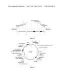 PROCESSES FOR PRODUCING HYDROCARBON PRODUCTS diagram and image