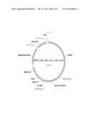 Recombinant Microorganisms Having Enhanced Propanol and Method for     Preparing Propanol Using the Same diagram and image