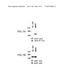 DNA DAMAGING AGENTS IN COMBINATION WITH TYROSINE KINASE INHIBITORS diagram and image